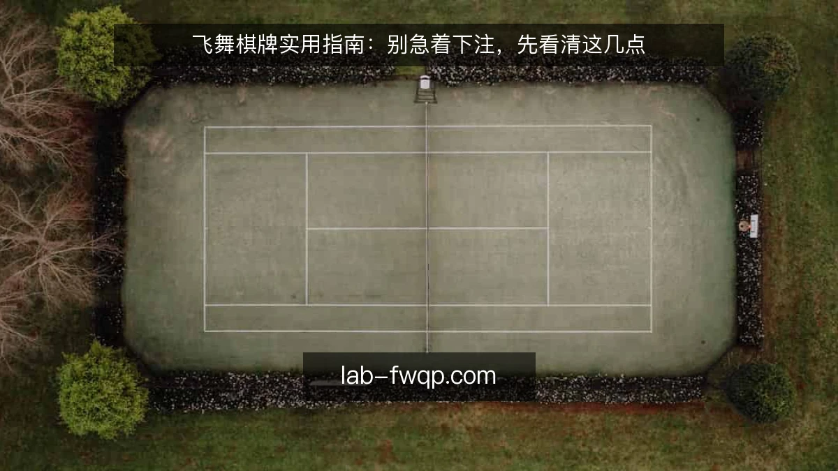 飞舞棋牌实用指南：别急着下注，先看清这几点