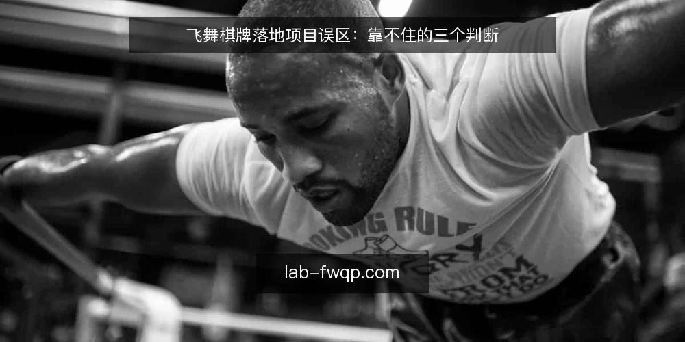 飞舞棋牌落地项目误区：靠不住的三个判断 — 先厘清误区框架：落地项目不是一次性采购 配图