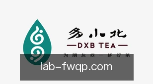 飞舞棋牌